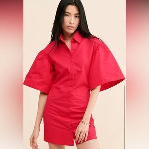 Winter Muse Saressa Mini Dress- Pink